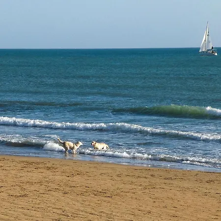 3 Bedroom In Holiday home